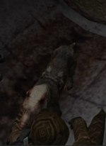 Снимок экрана 2026-03-07 020654.png