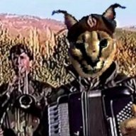 донецкий кокоджамбо