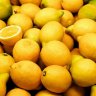 lemon332